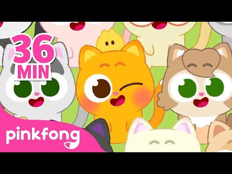 ニニモ、オレンジ猫コレクション🐱 | ピンクフォン x ニニモ スペシャル | ピンクフォン公式 (Ninimo, the Orange Cat Compilation 🐱 | Pinkfong x Ninimo Special | Pinkfong Official)