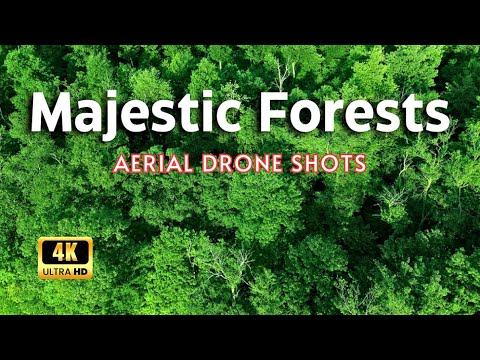 Flying over forests (UHD) | Majestic Forests Aerial 4K | Forests from above -Beautiful Nature Videos