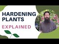 How to Harden off Seedlings for Your Vegetable Garden