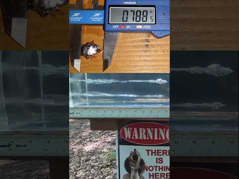 HSM Ammunition - Hunting, Long Range, Self-Defense| Guns \u0026 Gear S10