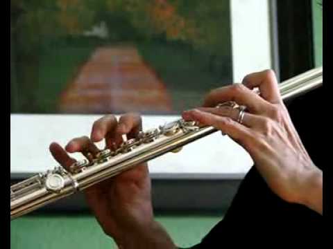 Di Zhao- New Intermediate 400 Flute For Sale