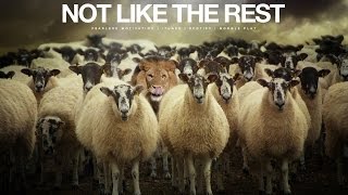 Not Like The Rest - Motivational Video (The Champion Mindset)