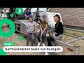 Krijgen we een zomer zonder kermissen