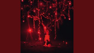 The Musician Music Video