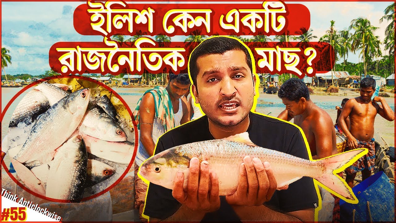 যে কারণে বাংলাদেশের মানুষ ইলিশ খেতে পায় না । Ilish Price Hike | Explained by Enayet Chowdhury