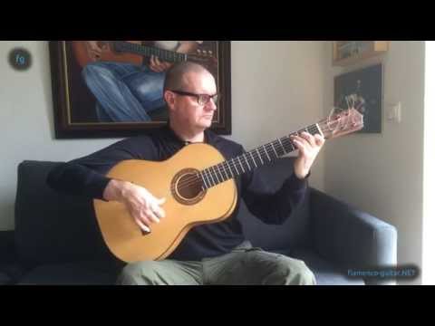 2009 Anders Eliasson Flamenco Guitar - presented by Ingo Voormanns