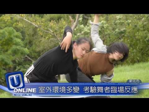 關渡自然藝術季　草地演出反思人地關係