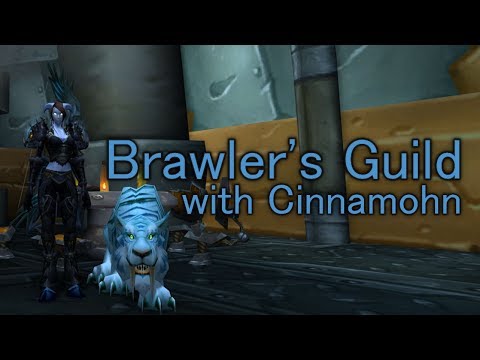 Brawler's Guild with Cinnamohn - Ahoo'ru
