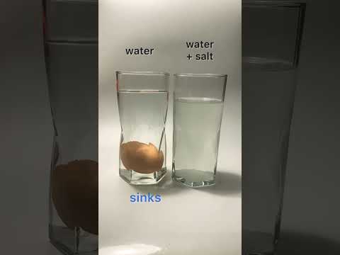 floating egg science experiment…adding salt to water makes it more dense than egg.. #density #egg