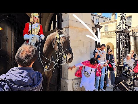 "Disrespectful Part 2: Do Not Mess with the King's Horse" at Horse Guards—SHE HELD THE MAN'S "THING"