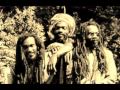 ISRAEL VIBRATION  Sistematical fraud