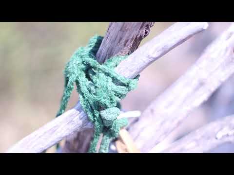 Solar powered stage on Seasplash & Goulash Disko 2015