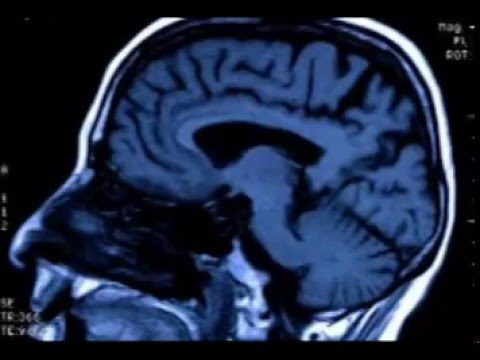 Piotr Rogucki (Coma) - Nienasycenie