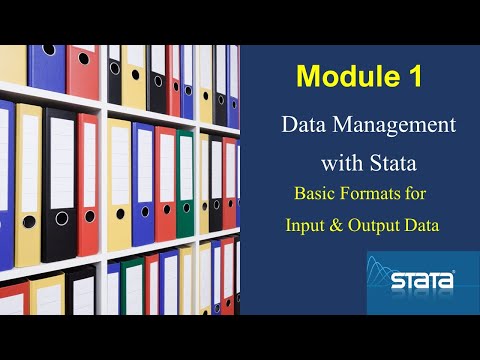Basic file formats for input and output in Stata