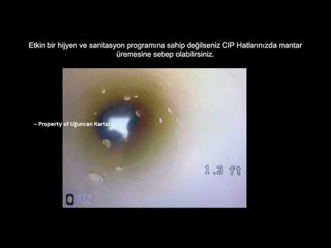 CIP Borularında Organik Kalıntı Oluşumu ve Mikrobiyolojik Kontaminasyon