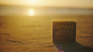 Spam Norimaki at the beach