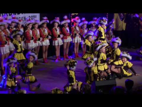 Prinzengarde 2014 AKV Gardebiwak 19.02.2014