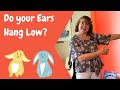 Do Your Ears Hang Low