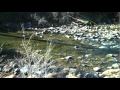 The Ritual by Kevin Wood: New Age music