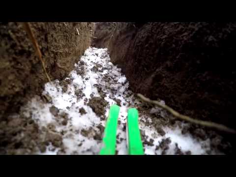 The Line of the Year