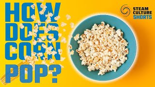 How does Popcorn Pop? Steam Culture #shorts