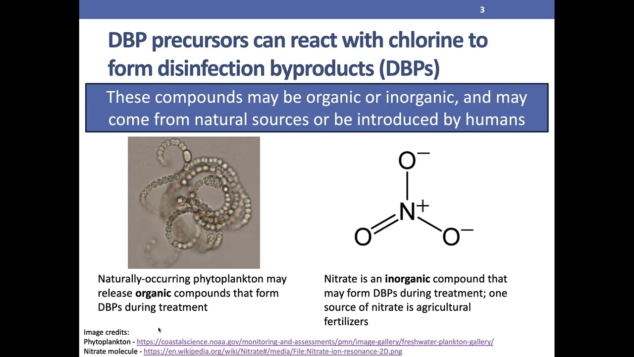 Macrosystems EDDIE Module 10: DBP Formation & Thresholds