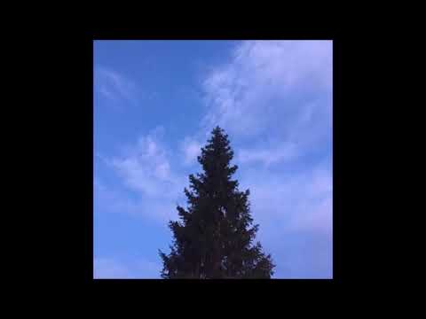 103. Vegard - Beggri [25.11.2017]