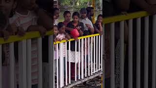 Visit to Mango Meadows #fish #fishfeeding #mangomeadows