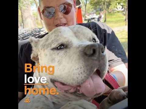 Over 200 pets adopted at Best Friends Super Adoption in Northwest Arkansas