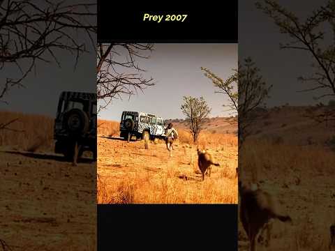 Prey 2007 #horror #short #thriller