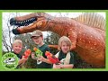 Giant Dinosaurs For Kids At Dinosaur World T Rex Ranch Jurassic Adventures