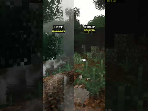 Minecraft Shaders: NostalgiaVX or SEUS? #shorts