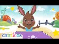Five Senses ️ Kids Sensory Song Canticos Nursery Rhymes Kids Songs