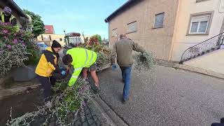 Enlèvement des fleurs à Romelfing