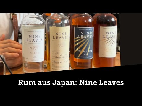 Video review: Nine Leaves Clear 2018