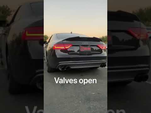 ValvedExhausts Audi S4/S5 B8/B8.5 Valvetronic Catback Exhaust