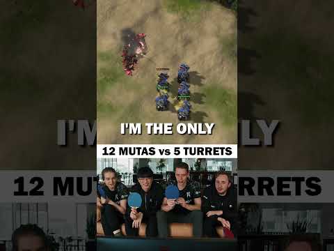 12 MUTALISKS vs 5 TURRETS - Who would win STARCRAFT II EDITION