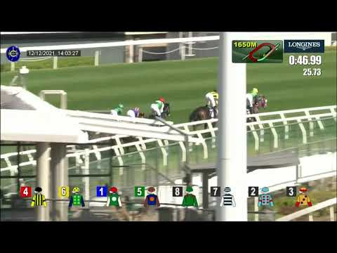 The Hong Kong Vase - Glory Vase