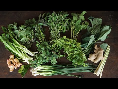 The Main Herbs and Flavorings of Asian Cuisine - Cooking With Morgane