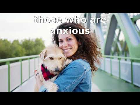 The power of Dogs - with My Oppo