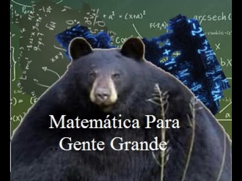 Exercício: Campos de Direções (1)