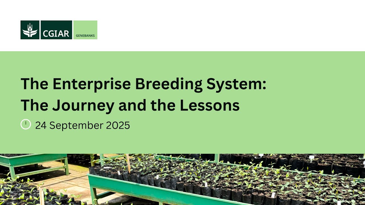 EBS: The Journey and the Lessons