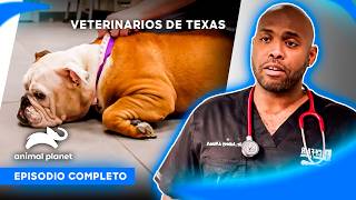 Thumbnail del capítulo