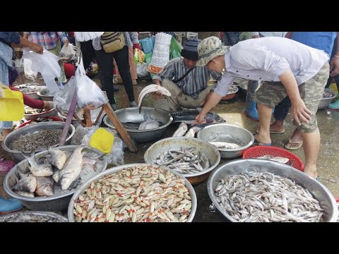 Cambodia Fish Market activity @Kilo9 in Phnom Penh | Amazing Site Rural Wet Market Fish @Kilo9