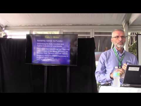 Can An Amino Acid Deficiency Cause Soft Tissue Injuries In Horses?