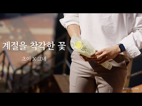 비디오 13