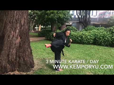 3 Minute Karate / Day - kick Mawashi Geri (Round house kick)