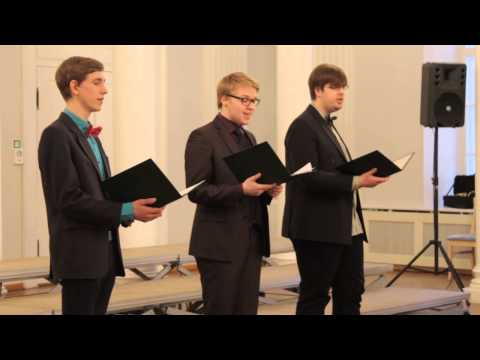 JPG Kevadkontsert 2014:  Meesansambel "Malemäng"