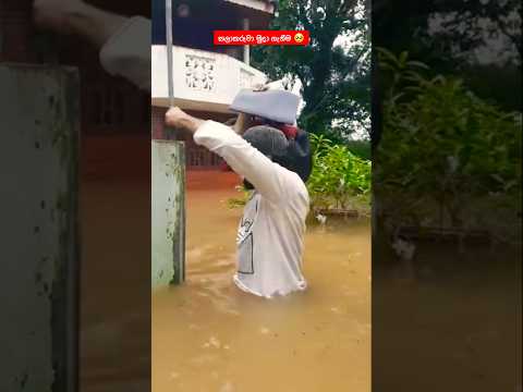 කලාකරුවා මුදා ගැනීම 🥺❤️😘 #shorts #trend #srilanka