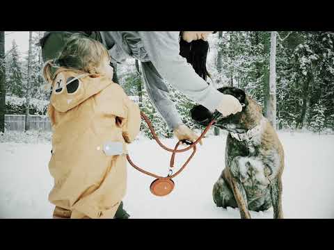 Kuma Outdoor Gear Pet Gear